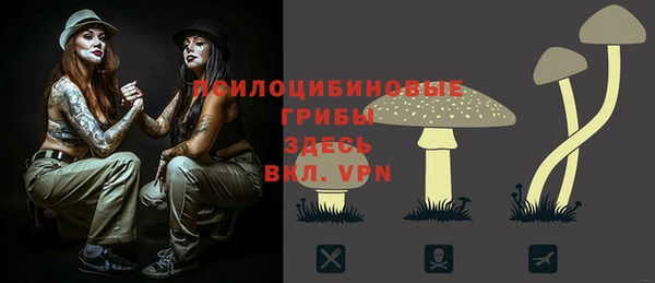 мяу мяу кристалл Баксан